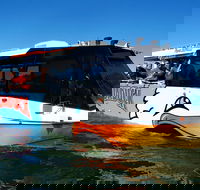 Paradise Jet Boating and Aquaduck Combo - Accommodation Broome
