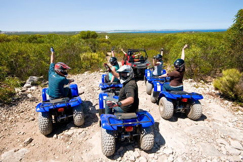 Kangaroo Island Quad Bike (ATV) Tours - Accommodation Broome 3