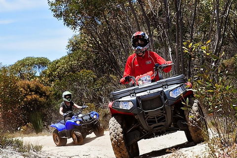 Kangaroo Island Quad Bike (ATV) Tours - Accommodation Broome 5