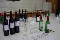 Penfolds Barossa Valley Make Your Own Wine, Adelaide