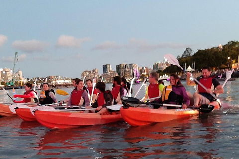 Brisbane River Guided Evening Tour By Kayak - Our Most Popular Tour - Accommodation Broome 0