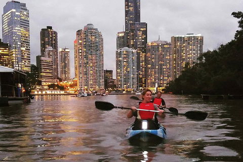 Brisbane River Guided Evening Tour By Kayak - Our Most Popular Tour - Accommodation Broome 3