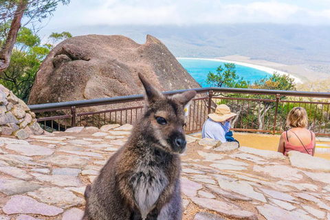 Wineglass Bay & Freycinet NP Full Day Tour From Hobart Via Richmond Village - Accommodation Broome 0