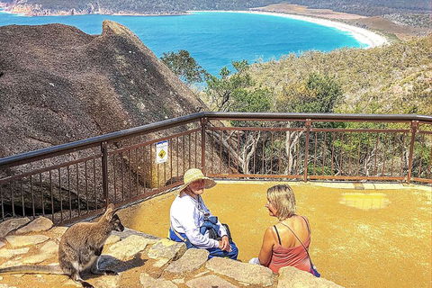 Wineglass Bay & Freycinet NP Full Day Tour From Hobart Via Richmond Village - Accommodation Broome 1