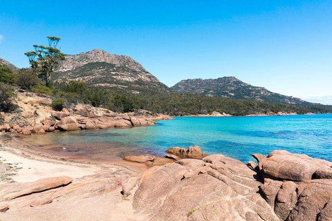 Wineglass Bay & Freycinet NP Full Day Tour From Hobart Via Richmond Village - Accommodation Broome 5
