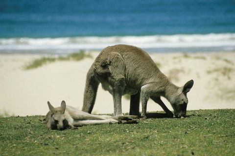 Great Ocean Road Highlights Tour - 2 Days, 1 Night - Accommodation Broome 2