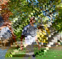 Aboriginal Heritage Walk - Royal Botanic Gardens Victoria Melbourne Gardens