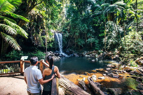 Aquaduck & Your Choice Of Gold Coast Rainforest Tour - Accommodation Broome 0
