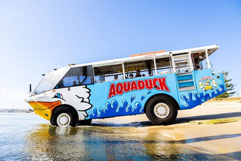 Aquaduck & Your Choice Of Gold Coast Rainforest Tour - Accommodation Broome 3