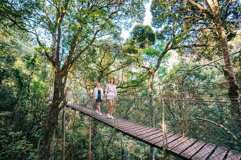 Aquaduck & Your Choice Of Gold Coast Rainforest Tour - Accommodation Broome 4