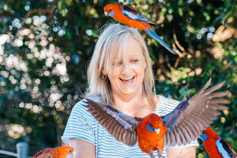 Aquaduck & Your Choice Of Gold Coast Rainforest Tour - Accommodation Broome 5