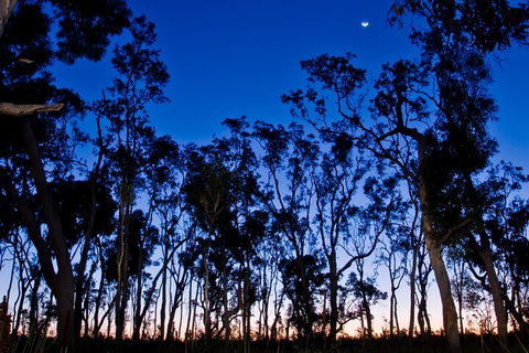 Small-Group Kangaroo Island 4WD Night Tour - Accommodation Broome 2