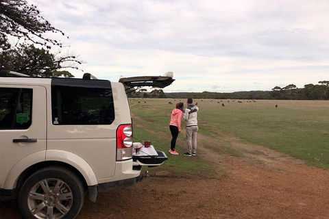 Kangaroo Island 4WD Tour - Flinders Chase - Accommodation Broome 3