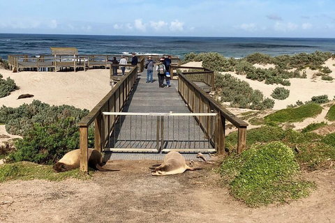 Kangaroo Island 4WD Tour - Best Of KI - Accommodation Broome 2