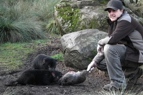 After Dark Tasmanian Devil Feeding Tour At Cradle Mountain - Accommodation Broome 2