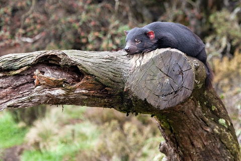 Day Keeper Tour - Accommodation Broome 0