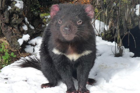 Day Keeper Tour - Accommodation Broome 4