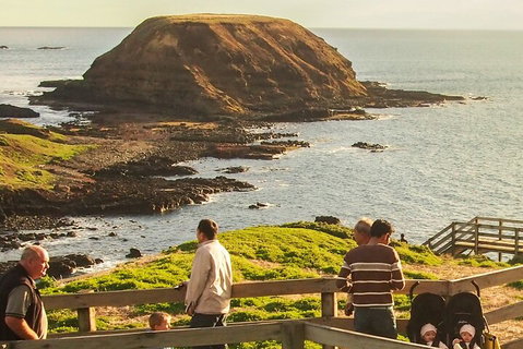 Healesville Sanctuary And Phillip Island Wildlife Bus Tour - Accommodation Broome 3