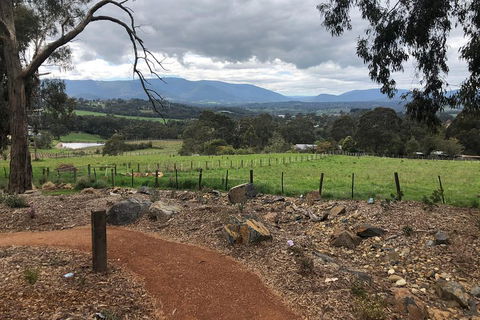 Yarra Valley Wine Tour Inc Lunch With A Glass Of Wine, Tastings And Chocolate - Accommodation Broome 0