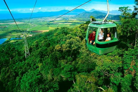 4-Day Cairns Ultimate Combo: Daintree Rainforest, Reef, Kuranda & Paronella Park - Accommodation Broome 1