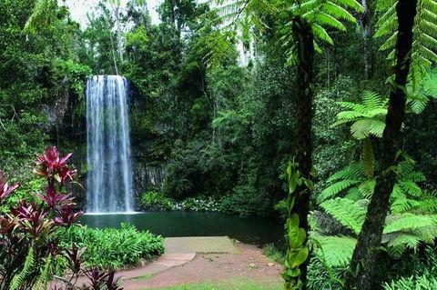 Paronella Park And Millaa Millaa Falls Full-day Tour From Cairns - Accommodation Broome 3