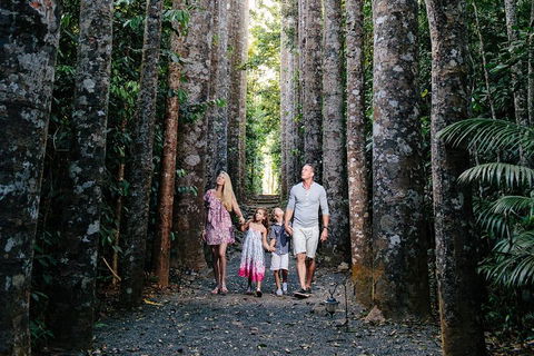Paronella Park And Millaa Millaa Falls Full-day Tour From Cairns - Accommodation Broome 5