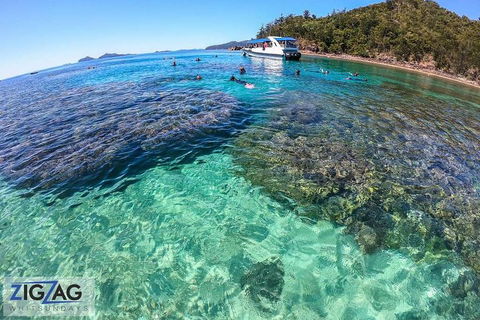 Whitehaven Beach Day Tour With Snorkel In Whitsundays Island - Accommodation Broome 5