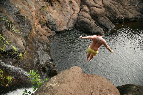 Hinterland Magic & Glow-worm Experience - Accommodation Broome 3