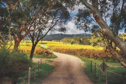 McLaren Vale Winery Small Group Tour With Wine Tasting And Lunch - Accommodation Broome 1