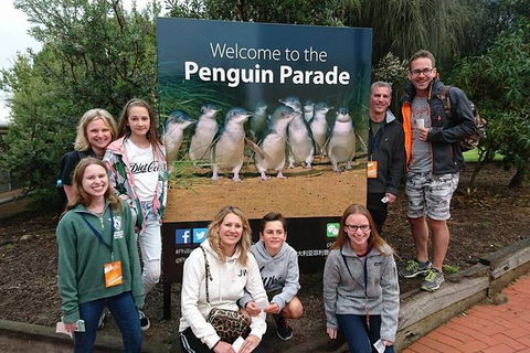Phillip Island Medium Size Group Tour - Accommodation Broome 5