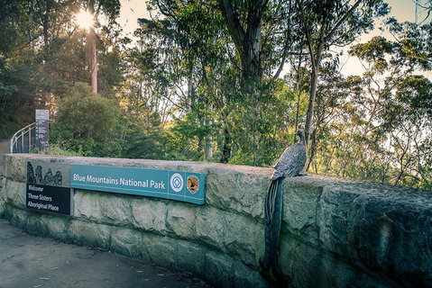 Ultimate Blue Mountains Waterfalls, Walks & Sunset PRIVATE Tour - Accommodation Broome 3