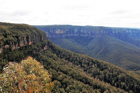 Blue Mountains - Accommodation Broome 3