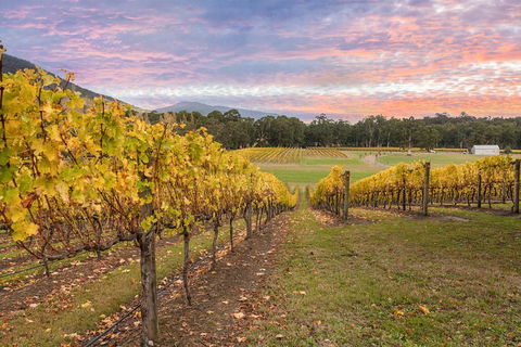 Yarra Valley Boutique Winery Tour From Melbourne - Accommodation Broome 3