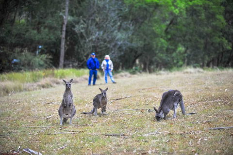 Blue Mountains Private Tour From Sydney - Accommodation Broome 2