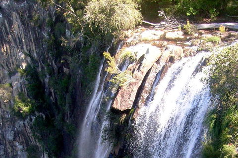 Byron Bay Combo: Hinterland Tour Including Minyon Falls And Kayaking With Dolphins - Accommodation Broome 3