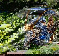 Adelaide 90-Minute Pedicab Tour Scenic Green  River Experience - Accommodation Broome