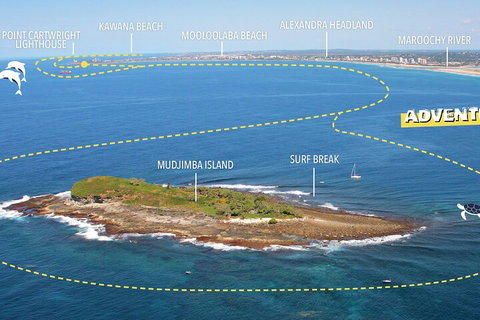 1.5HR Mudjimba Island Wildlife Safari - Accommodation Broome 1