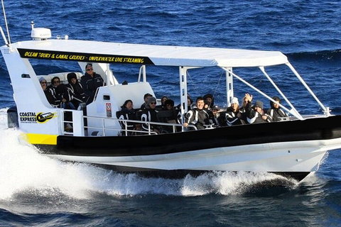 1.5HR Mudjimba Island Wildlife Safari - Accommodation Broome 2