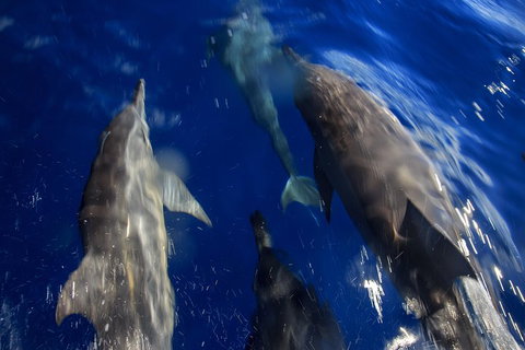 1.5HR Mudjimba Island Wildlife Safari - Accommodation Broome 3