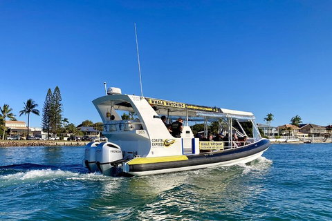 1.5HR Mudjimba Island Wildlife Safari - Accommodation Broome 4