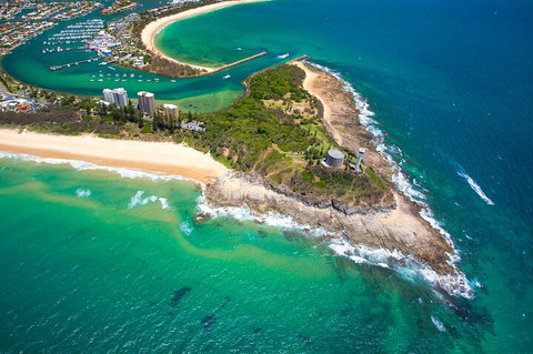 1.5HR Mudjimba Island Wildlife Safari - Accommodation Broome 5