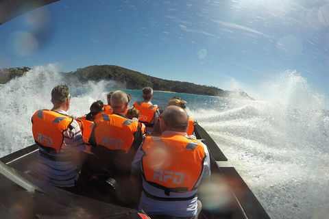 Noosa Thriller - 500hp Ocean Adventure Ride - Accommodation Broome 3