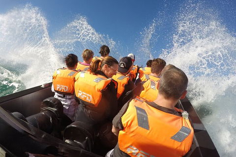 Noosa Thriller - 500hp Ocean Adventure Ride - Accommodation Broome 4