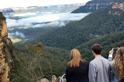 Blue Mountains Private Tour - Wild Kangaroos, Waterfalls And The Three Sisters - Accommodation Broome 3