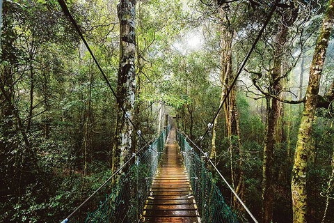 O'Reilly's & Lamington National Park From Gold Coast - Accommodation Broome 0