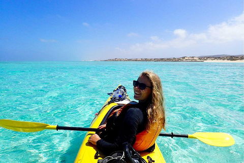 Lagoon Explorer - Ningaloo Reef Full-Day Kayaking And Snorkeling Adventure - Accommodation Broome 1