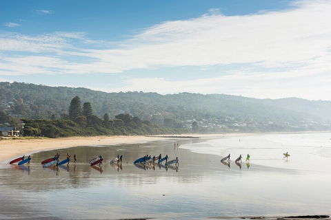 LGBT+ Friendly 12-Hour Great Ocean Road Private Tour - Accommodation Broome 2