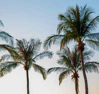Darwin City Sightseeing Tour - Accommodation Broome