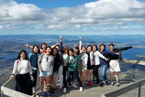 Mt Field National Park Active Day-Trip Including Bonorong And Mt Wellington - Accommodation Broome 2