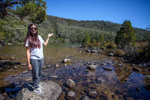 Mt Field National Park Active Day-Trip Including Bonorong And Mt Wellington - Accommodation Broome 4